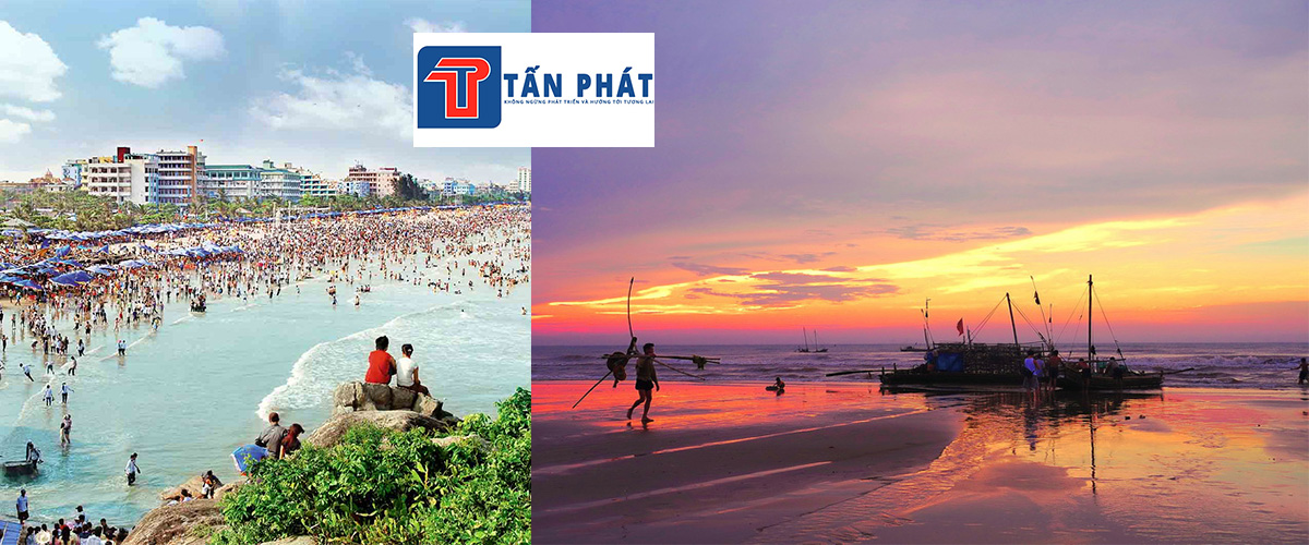 Hoạt động hè công ty tấn phát